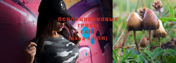 дурь Абаза