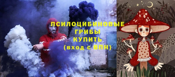 молекула духа Алзамай