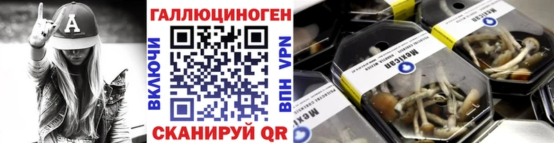 Галлюциногенные грибы Psilocybine cubensis  mega зеркало  Кизилюрт 