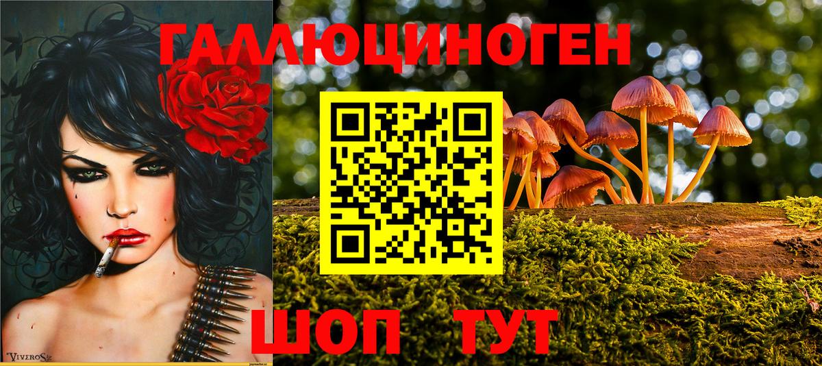 Псилоцибиновые грибы Cubensis  Псилоцибиновые грибы мицелий  Вход с VPN  Кизилюрт 